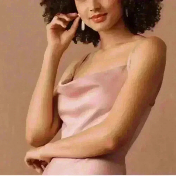 BHLDN midi dress, blush pink. Worn once & dry cleaned. Like brand new! Sz 2 - Picture 4 of 13